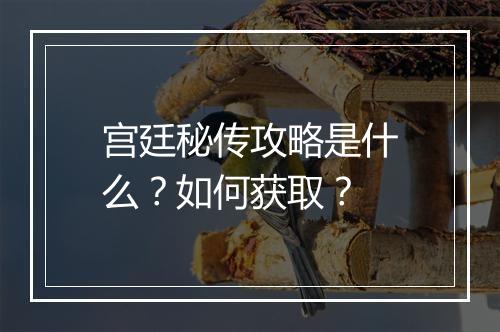 宫廷秘传攻略是什么？如何获取？