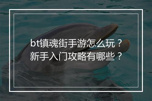 bt镇魂街手游怎么玩？新手入门攻略有哪些？