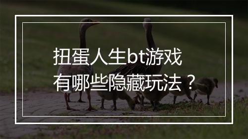 扭蛋人生bt游戏有哪些隐藏玩法？