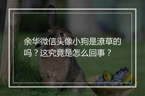 余华微信头像小狗是潦草的吗？这究竟是怎么回事？