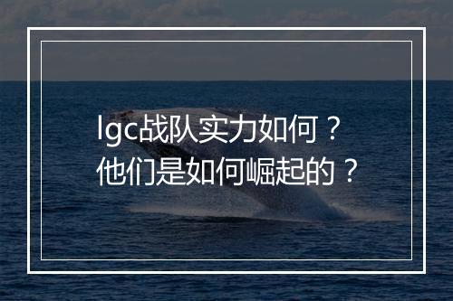 lgc战队实力如何？他们是如何崛起的？