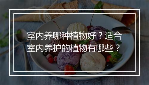 室内养哪种植物好?适合室内养护的植物有哪些?