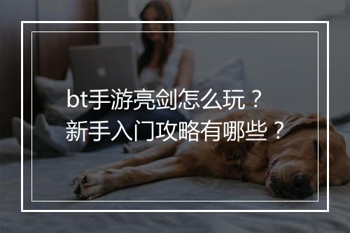 bt手游亮剑怎么玩？新手入门攻略有哪些？