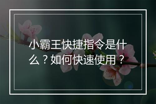 小霸王快捷指令是什么？如何快速使用？