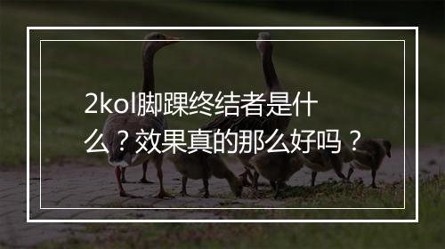 2kol脚踝终结者是什么？效果真的那么好吗？