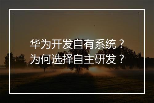 华为开发自有系统？为何选择自主研发？