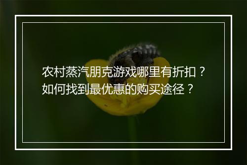 农村蒸汽朋克游戏哪里有折扣？如何找到最优惠的购买途径？