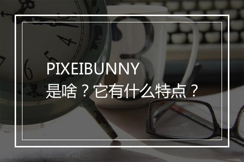 PIXEIBUNNY是啥?它有什么特点?