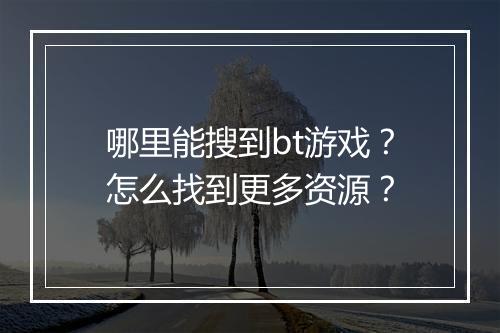 哪里能搜到bt游戏？怎么找到更多资源？