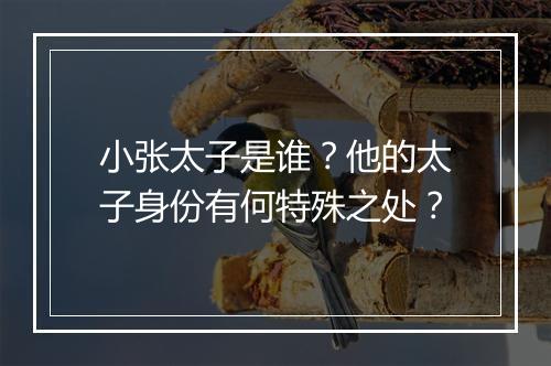 小张太子是谁？他的太子身份有何特殊之处？