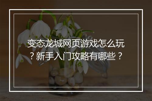 变态龙城网页游戏怎么玩？新手入门攻略有哪些？