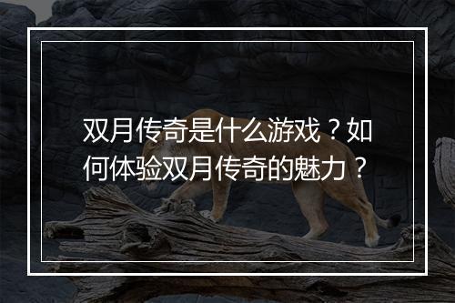 双月传奇是什么游戏？如何体验双月传奇的魅力？