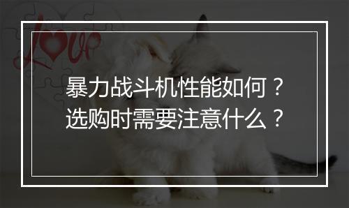 暴力战斗机性能如何？选购时需要注意什么？