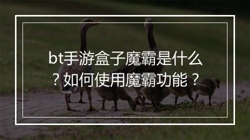 bt手游盒子魔霸是什么?如何使用魔霸功能?