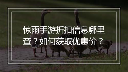 惊雨手游折扣信息哪里查?如何获取优惠价?