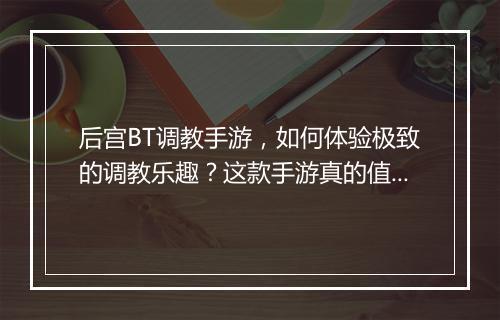 后宫BT调教手游，如何体验极致的调教乐趣？这款手游真的值得玩吗？