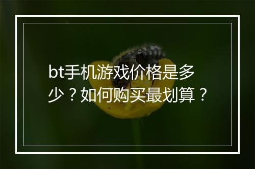 bt手机游戏价格是多少?如何购买最划算?