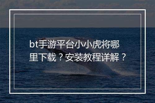 bt手游平台小小虎将哪里下载？安装教程详解？