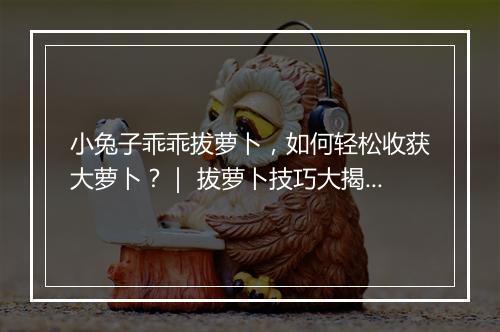 小兔子乖乖拔萝卜，如何轻松收获大萝卜？｜ 拔萝卜技巧大揭秘