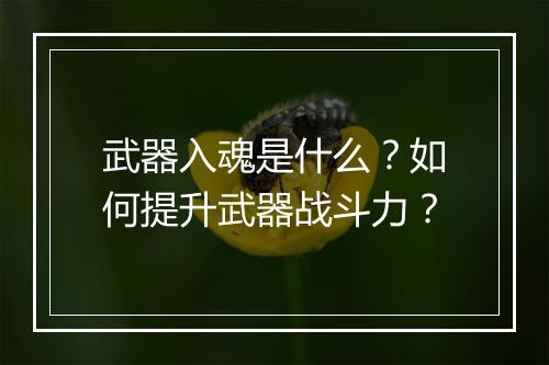 武器入魂是什么？如何提升武器战斗力？