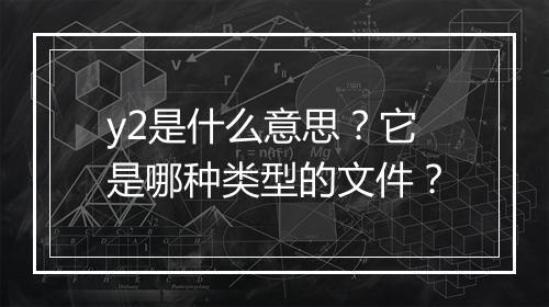 y2是什么意思？它是哪种类型的文件？