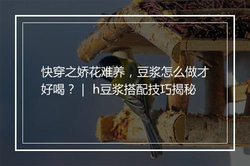 快穿之娇花难养，豆浆怎么做才好喝？｜ h豆浆搭配技巧揭秘