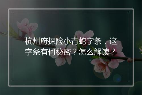 杭州府探险小青蛇字条,这字条有何秘密?怎么解读?