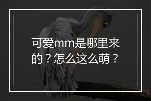 可爱mm是哪里来的？怎么这么萌？