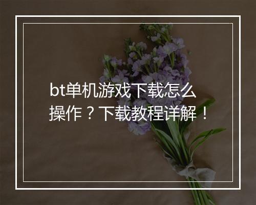 bt单机游戏下载怎么操作？下载教程详解！