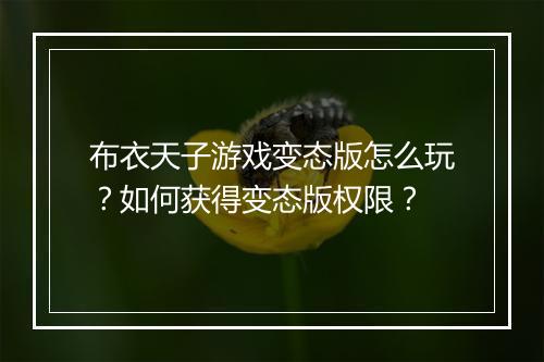 布衣天子游戏变态版怎么玩？如何获得变态版权限？