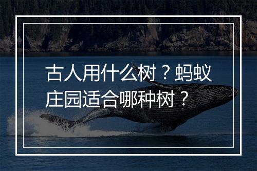古人用什么树？蚂蚁庄园适合哪种树？