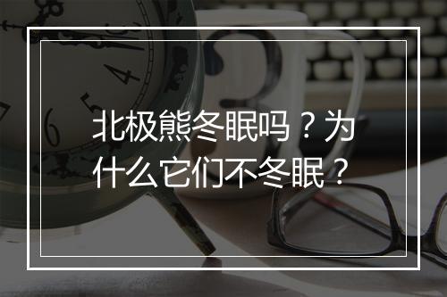北极熊冬眠吗？为什么它们不冬眠？