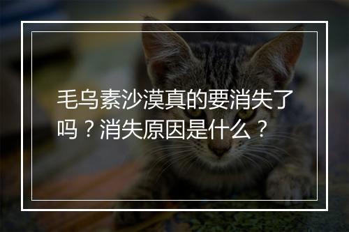 毛乌素沙漠真的要消失了吗?消失原因是什么?