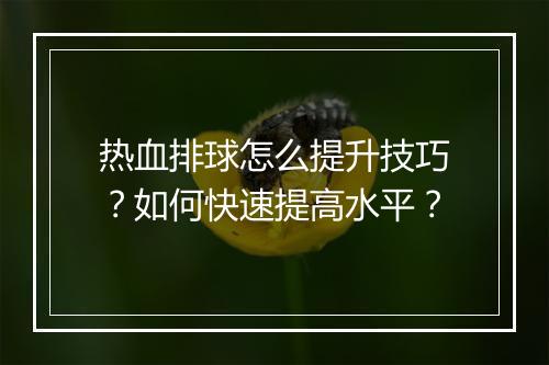 热血排球怎么提升技巧？如何快速提高水平？
