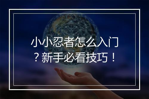 小小忍者怎么入门？新手必看技巧！