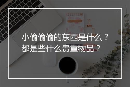 小偷偷偷的东西是什么？都是些什么贵重物品？
