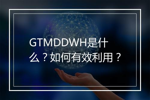 GTMDDWH是什么?如何有效利用?