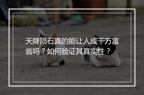天降陨石真的能让人成千万富翁吗?如何验证其真实性?