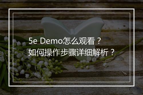 5e Demo怎么观看？如何操作步骤详细解析？