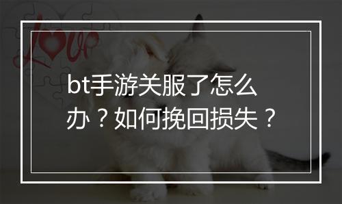 bt手游关服了怎么办？如何挽回损失？