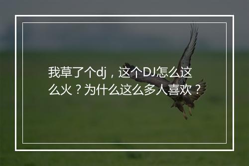 我草了个dj，这个DJ怎么这么火？为什么这么多人喜欢？