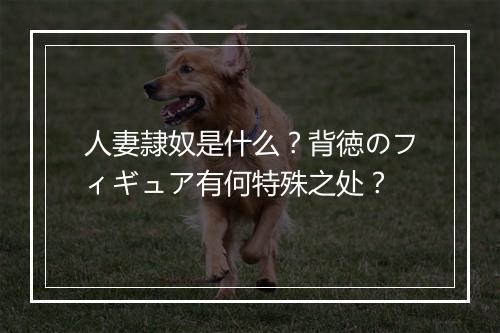 人妻隷奴是什么？背徳のフィギュア有何特殊之处？