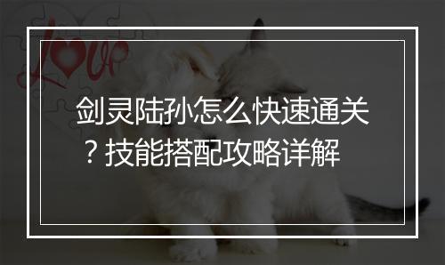 剑灵陆孙怎么快速通关？技能搭配攻略详解