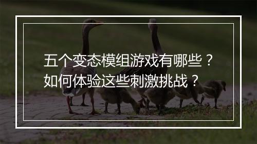 五个变态模组游戏有哪些？如何体验这些刺激挑战？