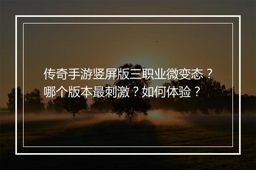 传奇手游竖屏版三职业微变态?哪个版本最刺激?如何体验?