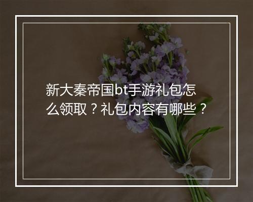 新大秦帝国bt手游礼包怎么领取？礼包内容有哪些？