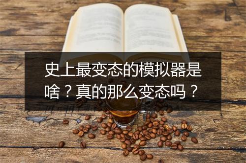 史上最变态的模拟器是啥？真的那么变态吗？