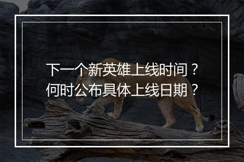 下一个新英雄上线时间？何时公布具体上线日期？