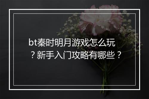 bt秦时明月游戏怎么玩？新手入门攻略有哪些？