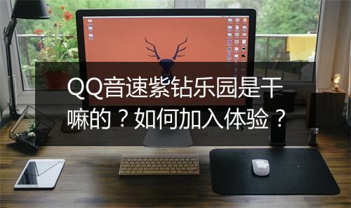 QQ音速紫钻乐园是干嘛的？如何加入体验？